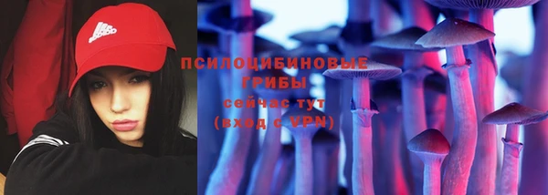 соль курить ск Медвежьегорск