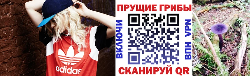 Купить где  Каспийск  Галлюциногенные грибы ЛСД 